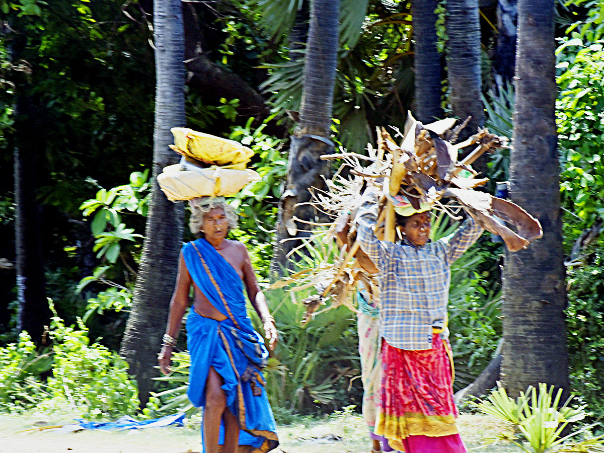 Best Photos of The Day in AP and Telangana Photo Gallery3