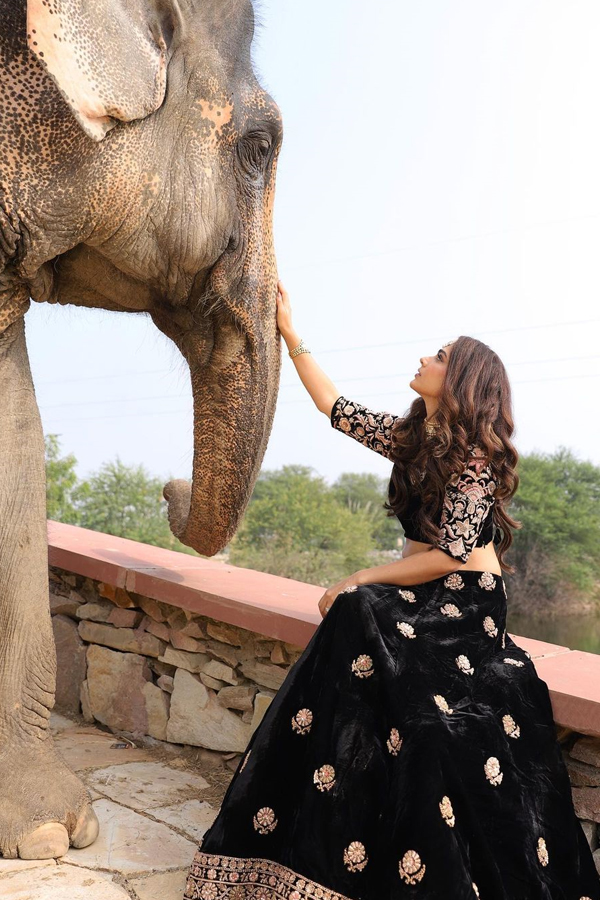 Tollywood Actress Akanksha Singh Birthday Special Gallery26