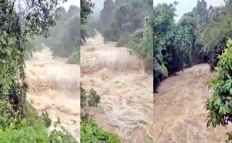 Massive Landslides Hit Kerala's Wayanad District: Photos9