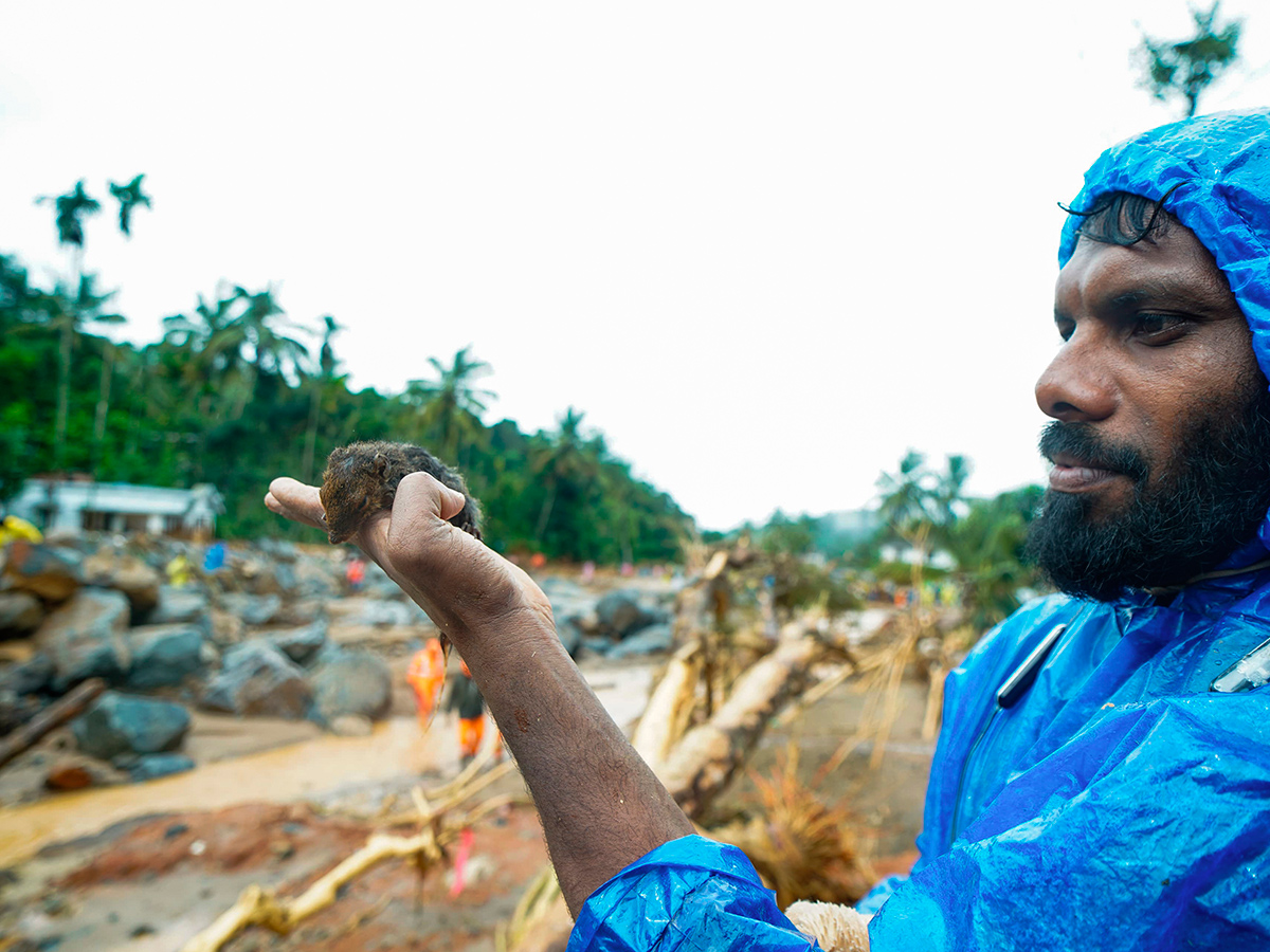 heavy rain in the hilly areas of Wayanad district Kerala Photos2