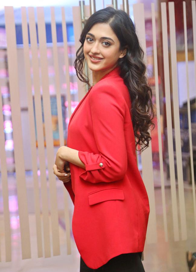 Allu Sirish Buddy Pre Release Event Photos7