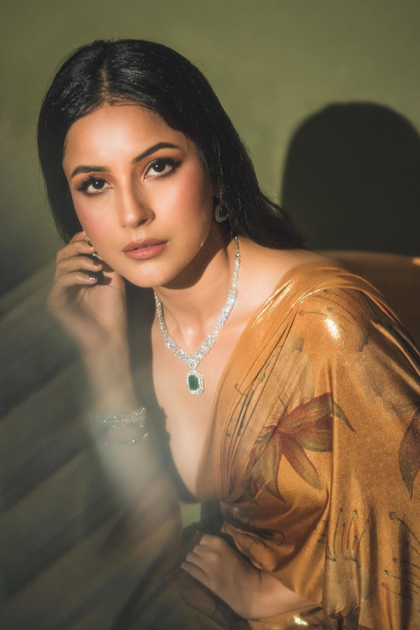 Actress Shehnaaz Kaur Gill Stunning Looks In Golden Color Saree9
