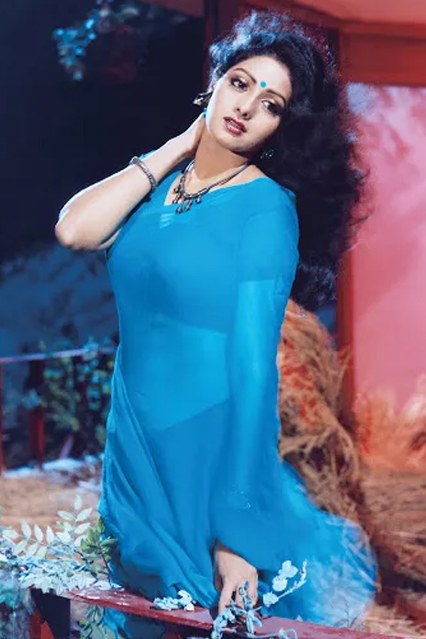 Legendary Actress Sridevi 61st Birthday Special Gallery16