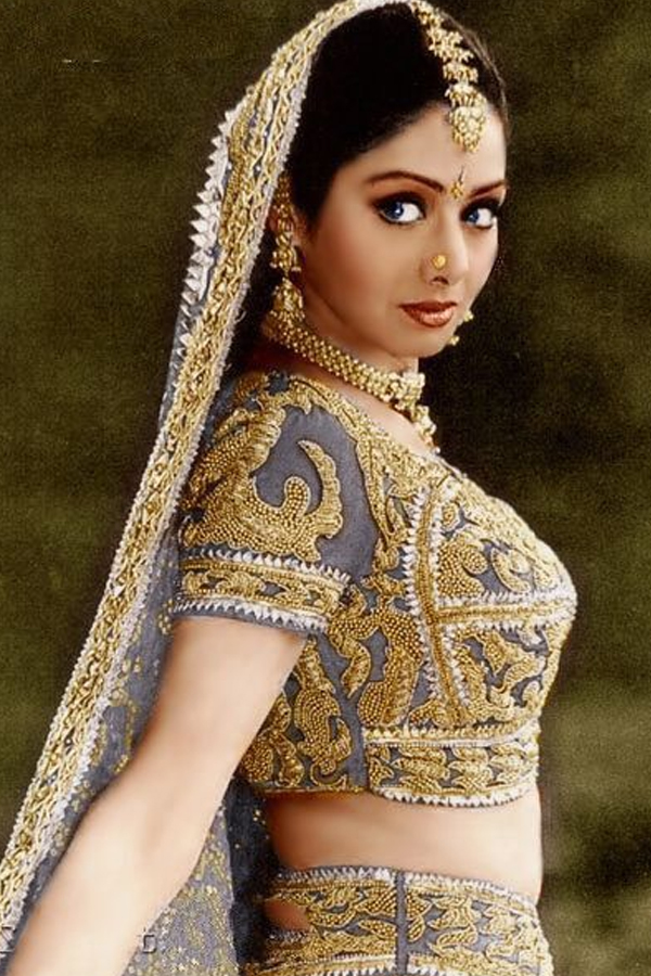 Legendary Actress Sridevi 61st Birthday Special Gallery23