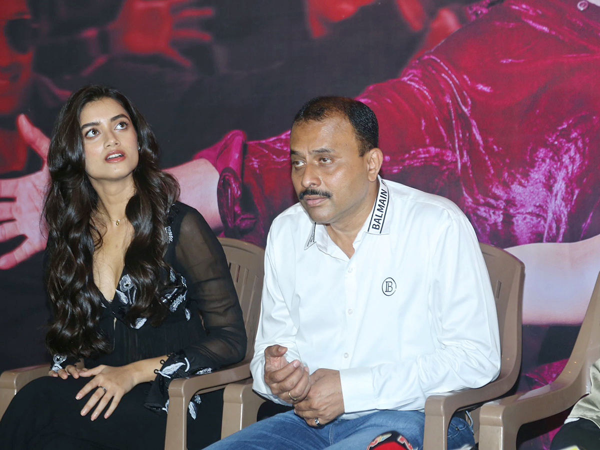 Ravi Teja Mr Bachchan Movie Success Celebrations Photos4