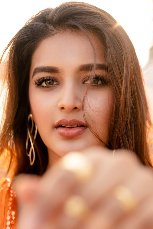 Actress Nidhhi Agerwal Birthday Special Gallery8