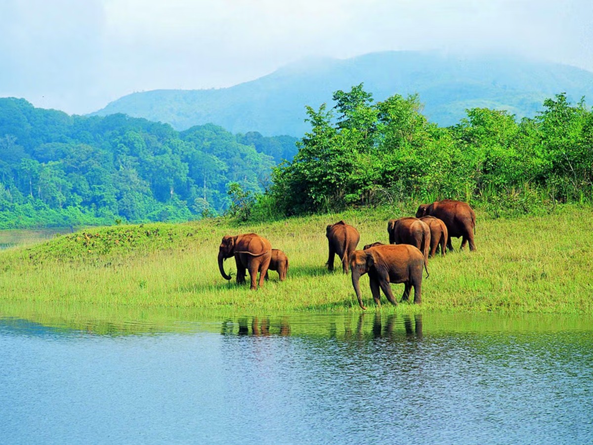 Best Outing Places To Visit With Cousins In Hyderabad2