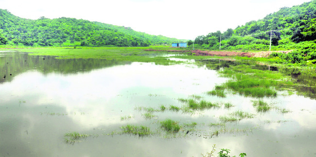 వరద నీటికి దారేదీ!1