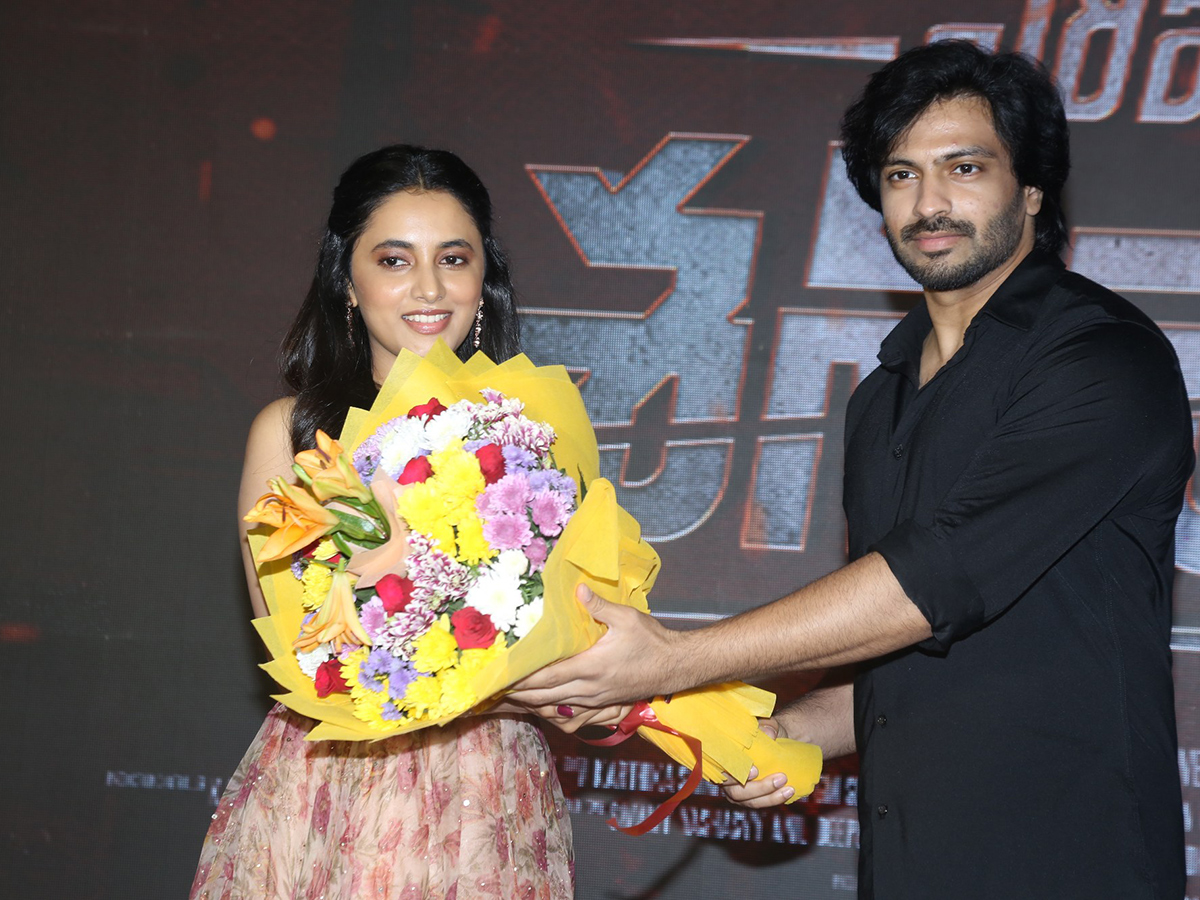 Saripodhaa Sanivaaram Press Meet Photos13