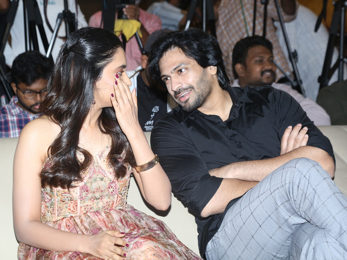 Saripodhaa Sanivaaram Press Meet Photos2
