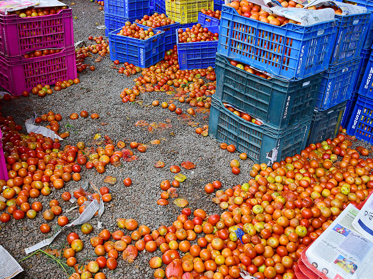 Angry farmers throw tomatoes on roadside at Anantapur: Photos10