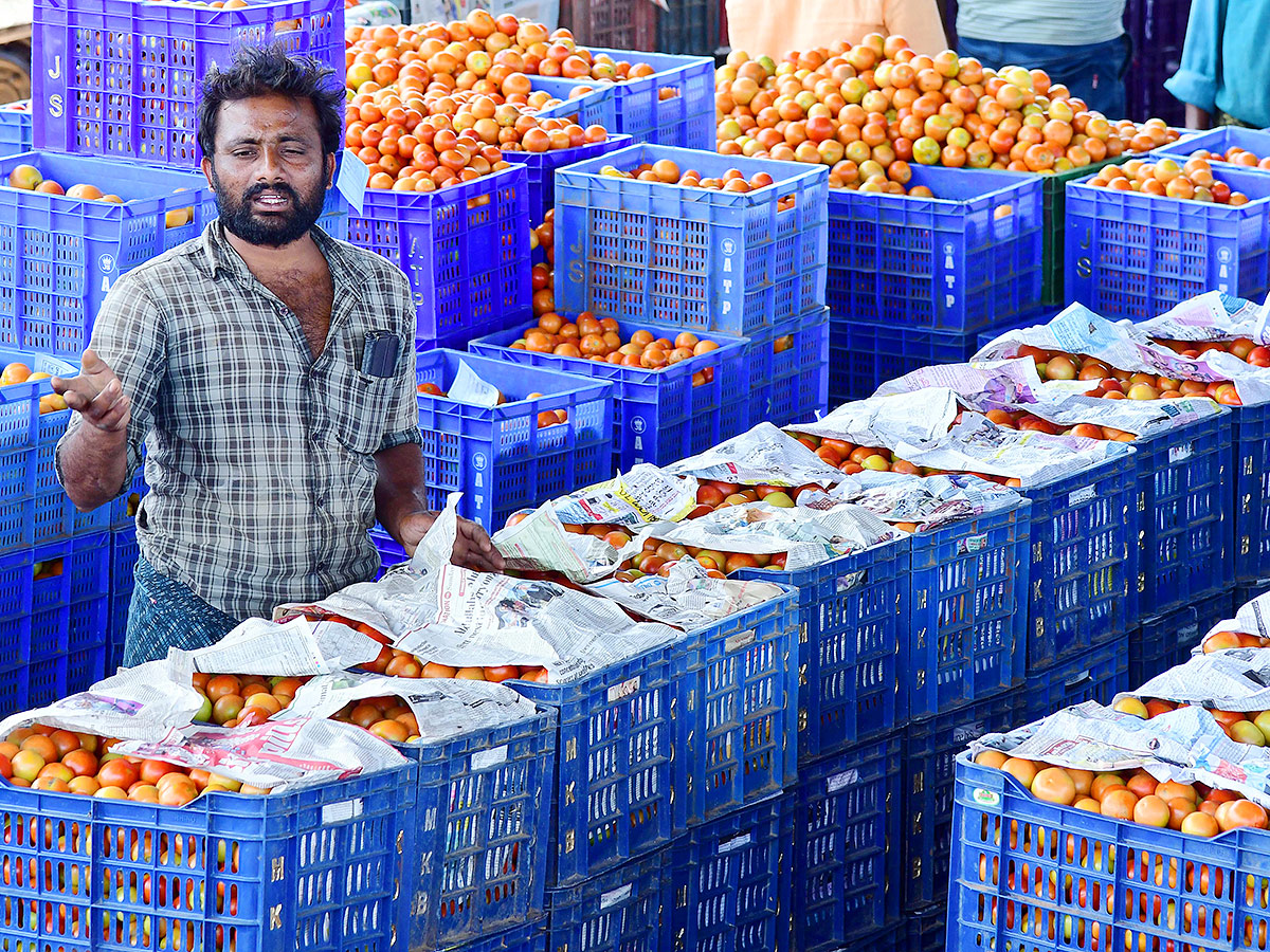 Angry farmers throw tomatoes on roadside at Anantapur: Photos20