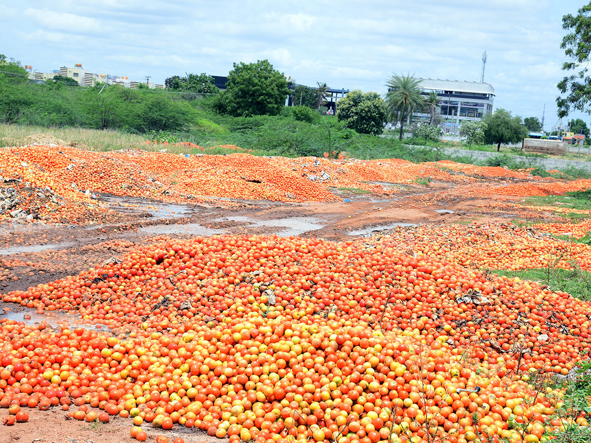 Angry farmers throw tomatoes on roadside at Anantapur: Photos3