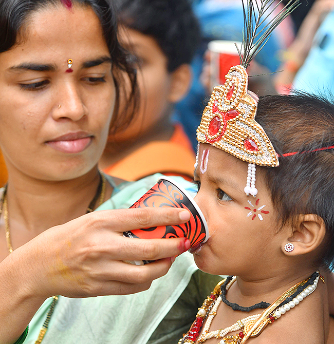 krishna janmashtami celebration 20248