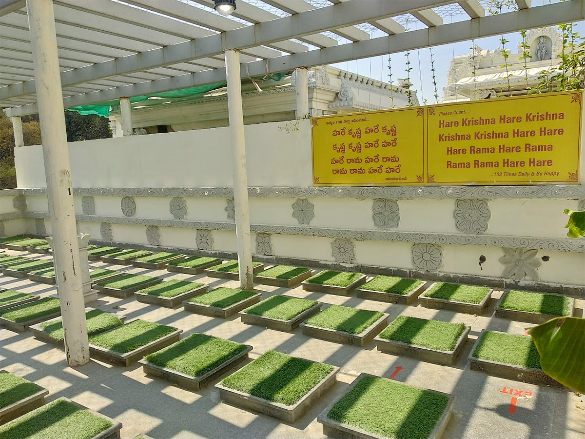 Hare Krishna Golden Temple at Banjara Hills Photos11