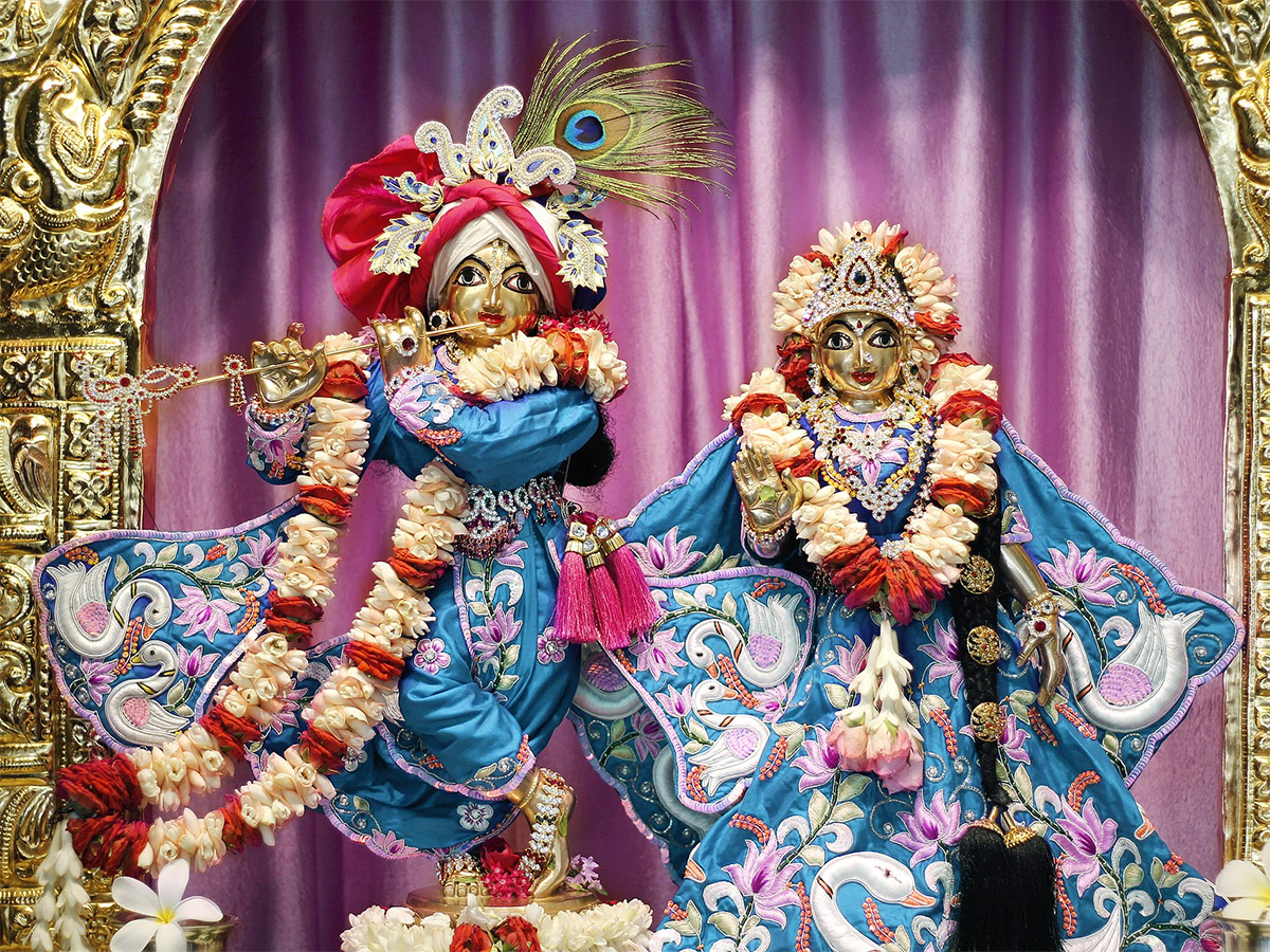 Hare Krishna Golden Temple at Banjara Hills Photos4
