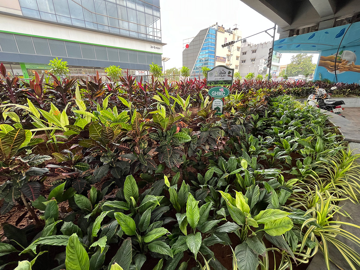 LB Nagar Oxygen Park Photos16