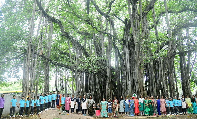 Students tie Rakhi to hundred years of history old banyan tree in Visakhapatnam Photos1