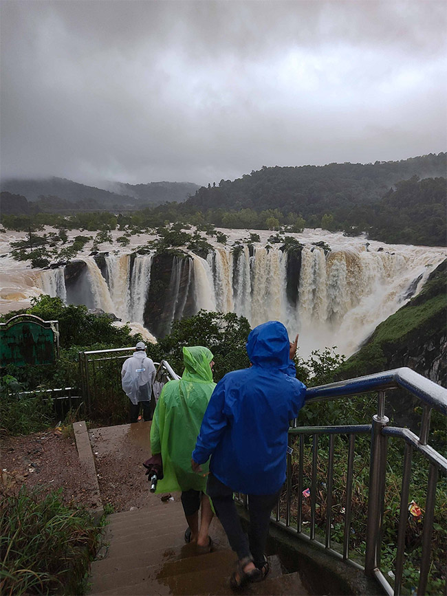 karnataka jog falls photos9