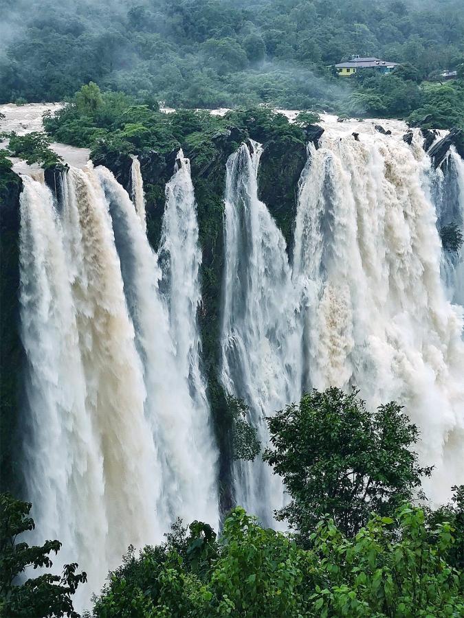 karnataka jog falls photos10
