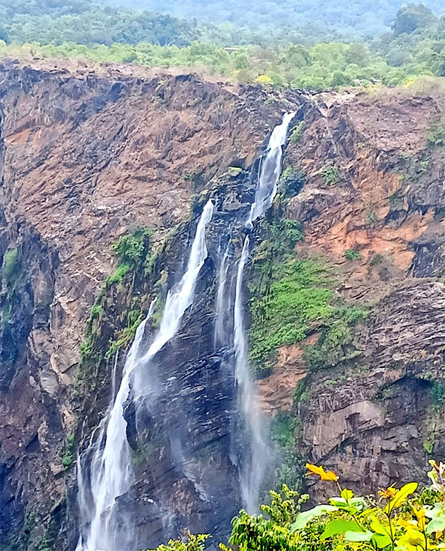 karnataka jog falls photos8