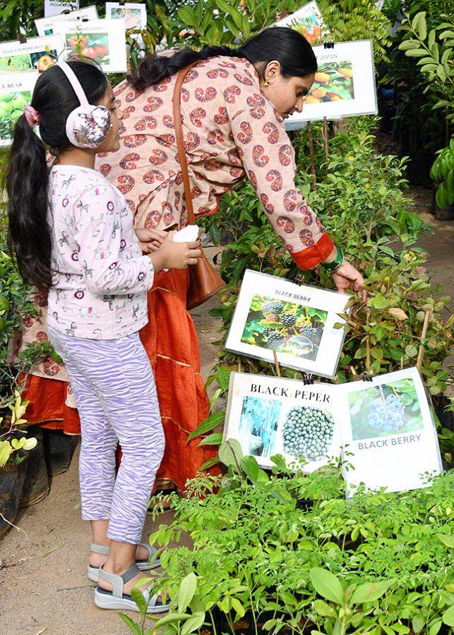 Grand Nursery Mela 2024 Hyderabad Photos18