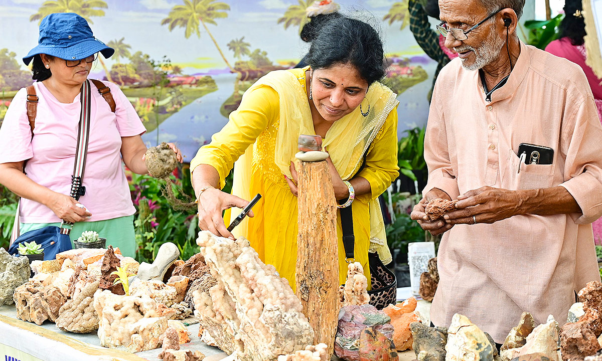 Grand Nursery Mela 2024 Hyderabad Photos22