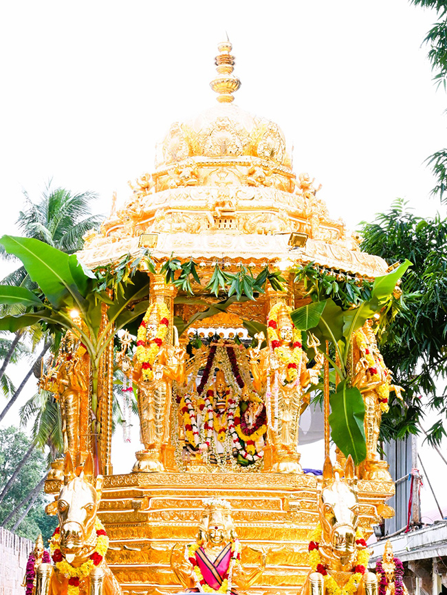 Swarna Rathotsavam For Sri Bhramaramba Mallikarjuna In Srisailam12