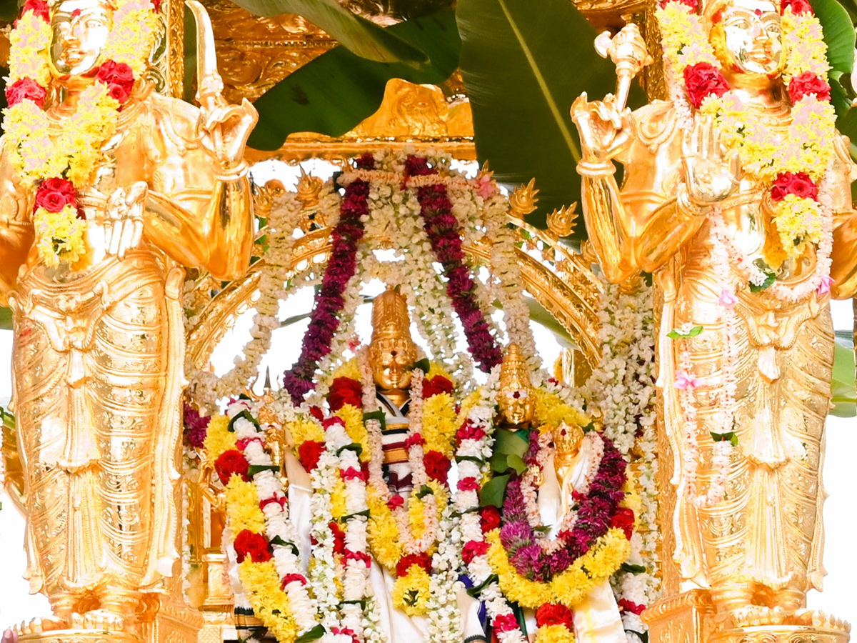 Swarna Rathotsavam For Sri Bhramaramba Mallikarjuna In Srisailam3