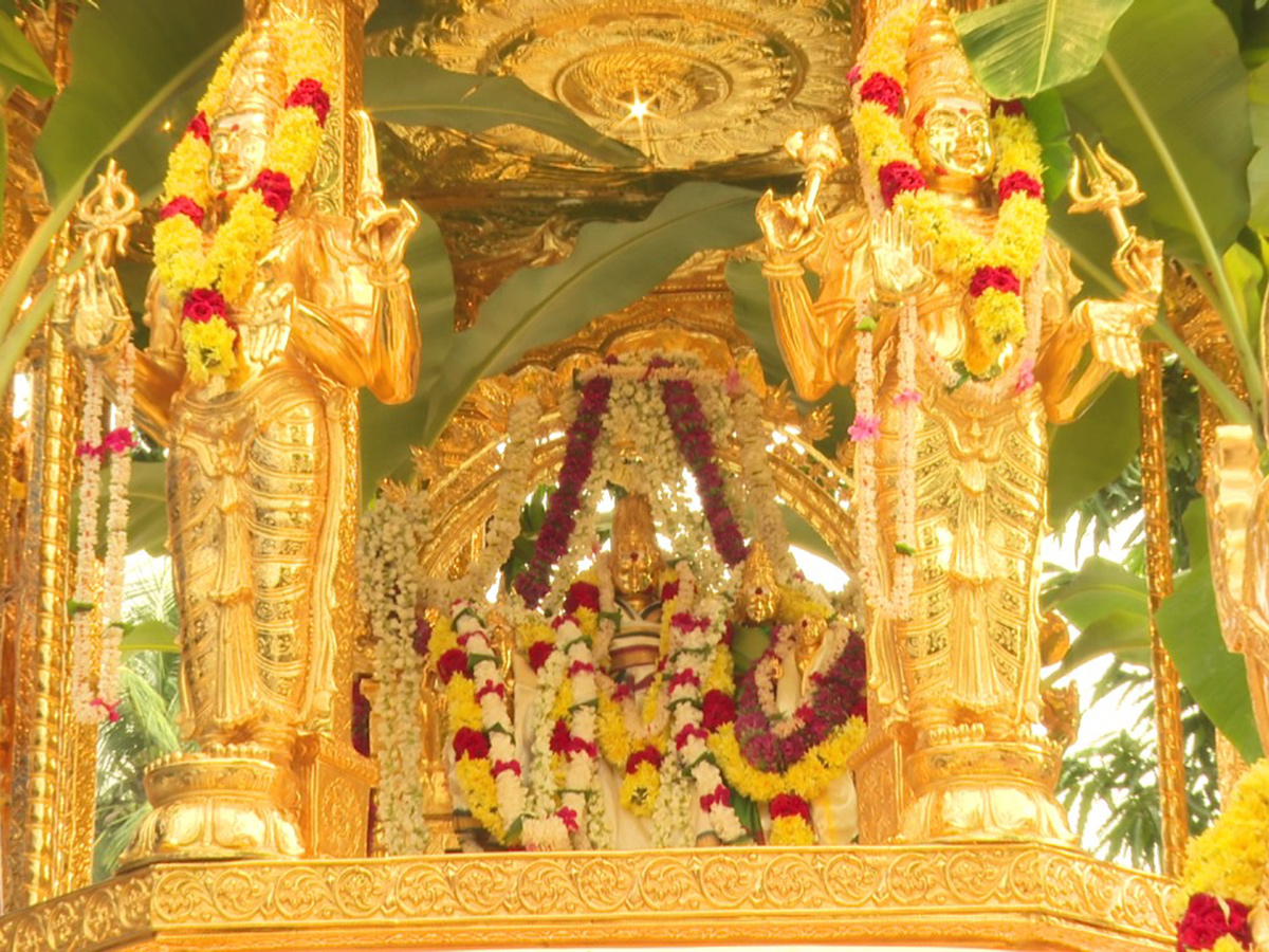 Swarna Rathotsavam For Sri Bhramaramba Mallikarjuna In Srisailam4