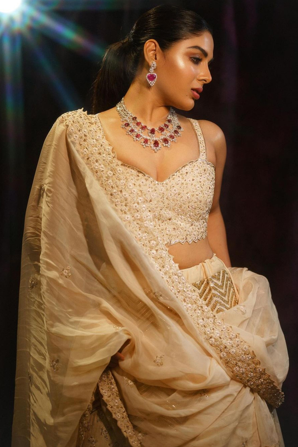 Samyuktha Menon Stunning Looks In Traditional Attire13