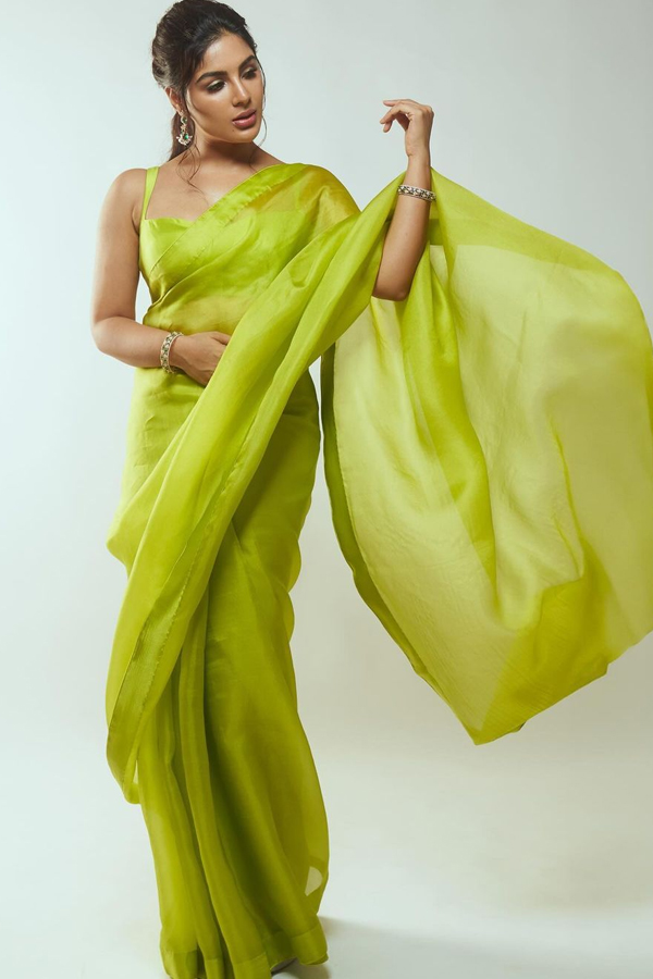 Samyuktha Menon Stunning Looks In Traditional Attire7