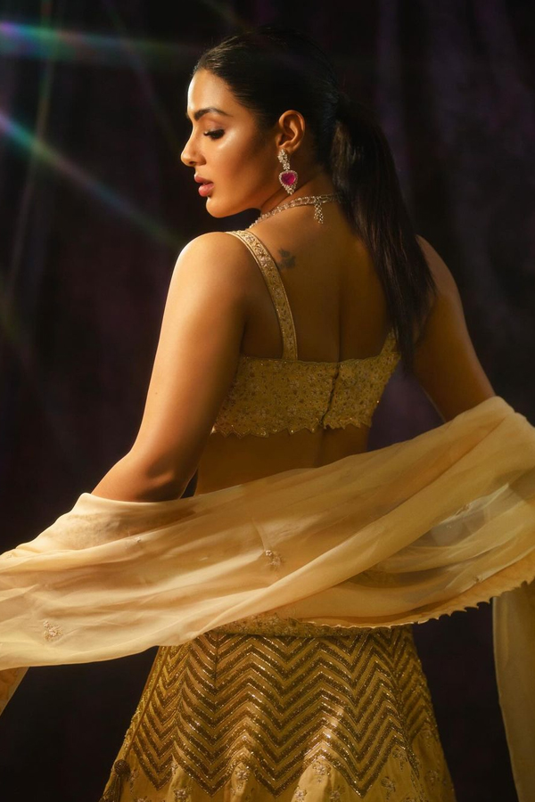 Samyuktha Menon Stunning Looks In Traditional Attire9