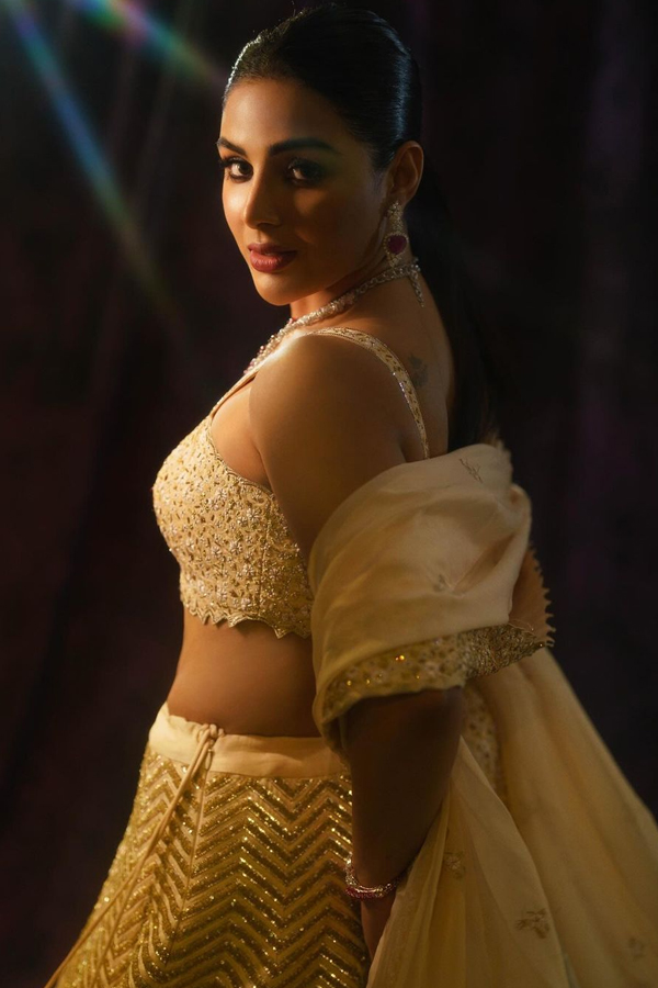 Samyuktha Menon Stunning Looks In Traditional Attire10