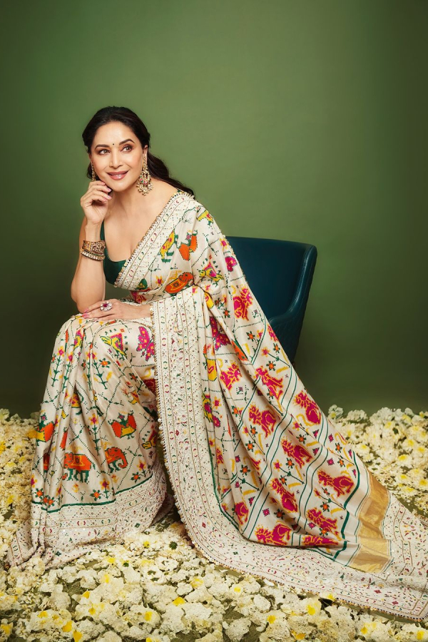 Bollywood Dancing Queen Madhuri Dixit In Stylish Saree Photos VIral2