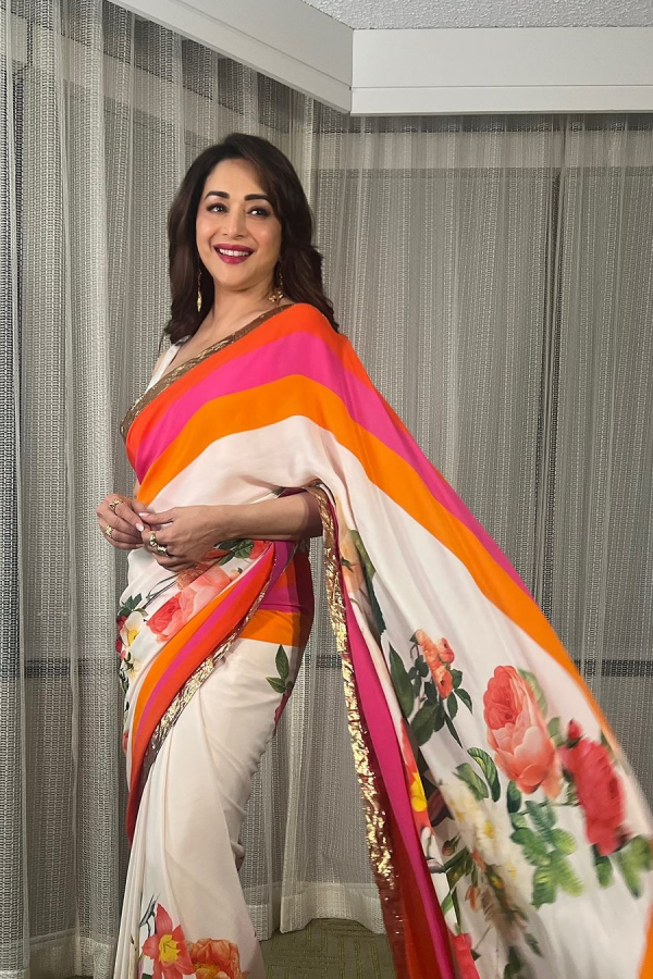 Bollywood Dancing Queen Madhuri Dixit In Stylish Saree Photos VIral8