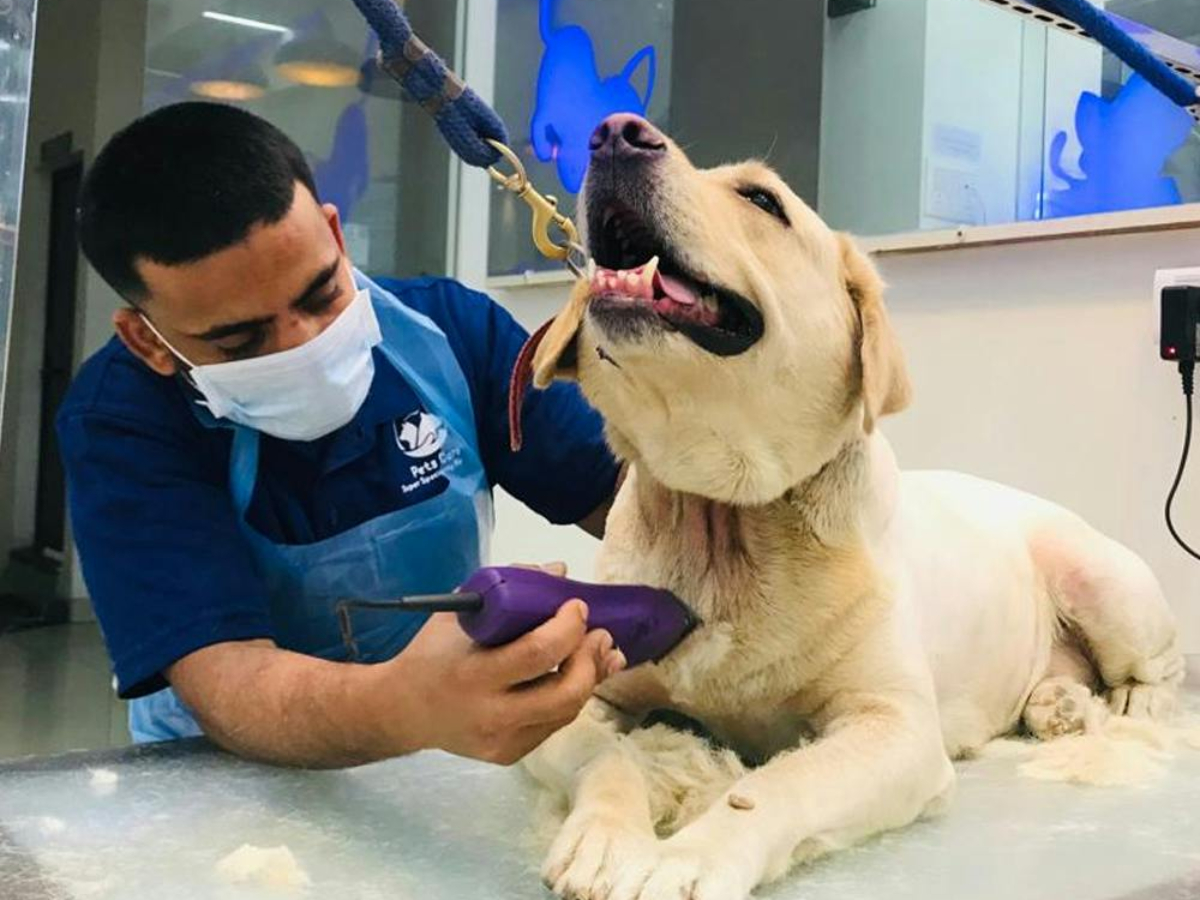 Pets Spa Parlour And Grooming Services At Hyderabad5