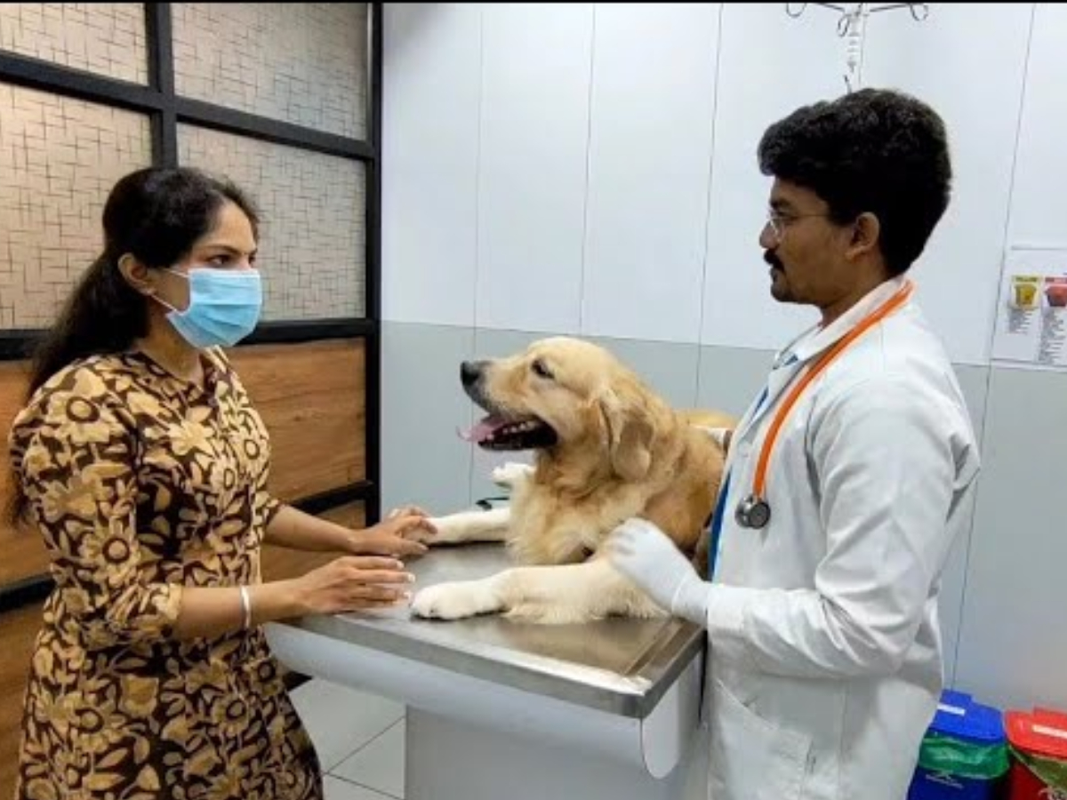 Pets Spa Parlour And Grooming Services At Hyderabad6