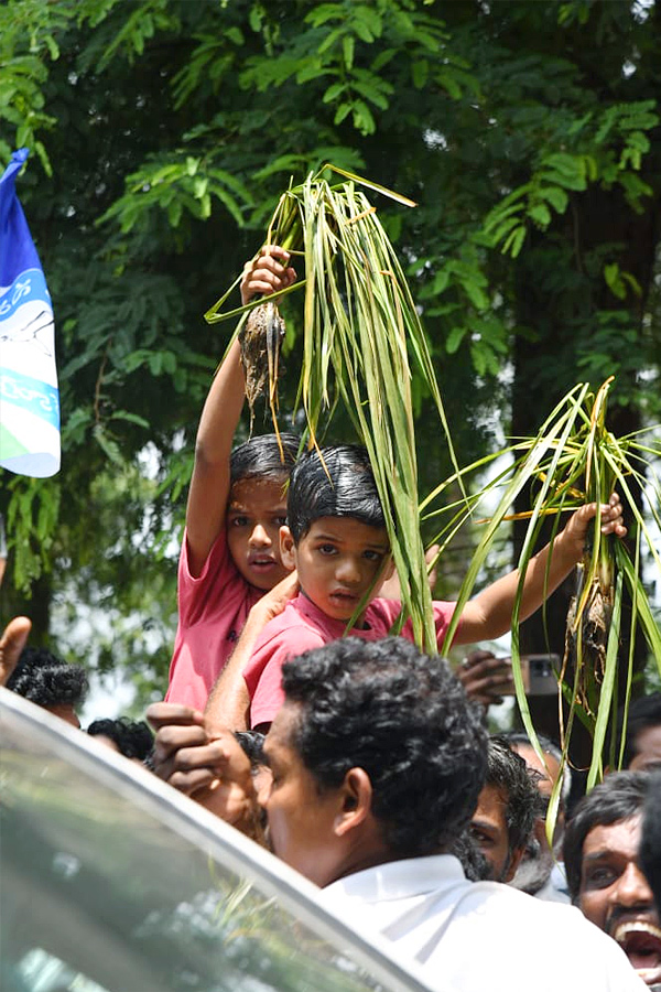 YS Jagan Visits Pithapuram Floods Affected Areas Photos19