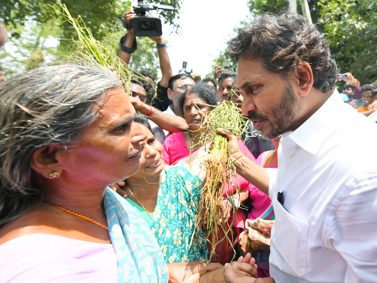 YS Jagan Visits Pithapuram Floods Affected Areas Photos2