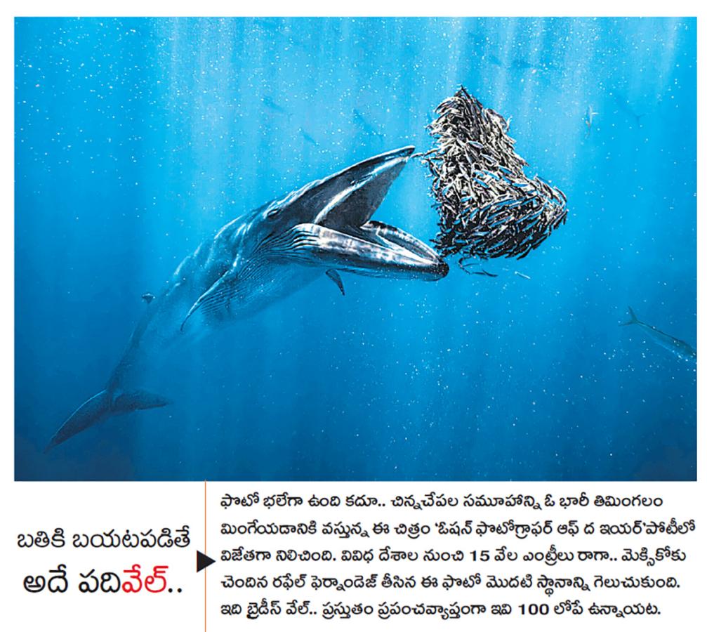 Today best picture at Sakshi news3