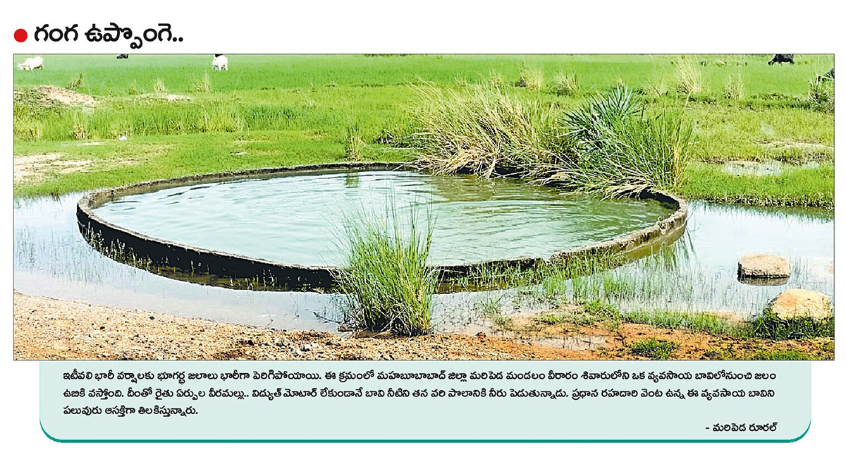 Today best picture at Sakshi news6