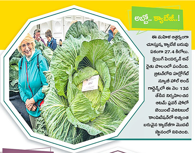 Today best picture at Sakshi news7