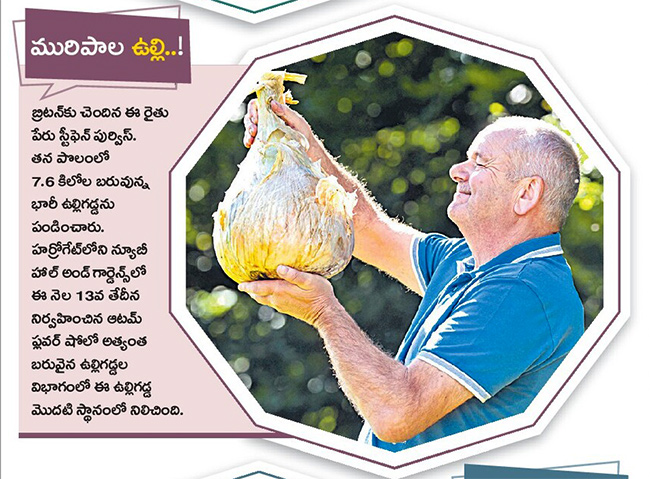 Today best picture at Sakshi news8