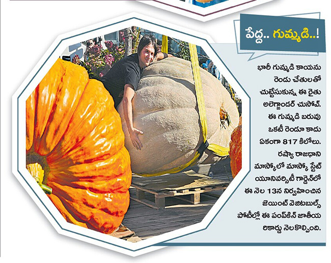 Today best picture at Sakshi news9