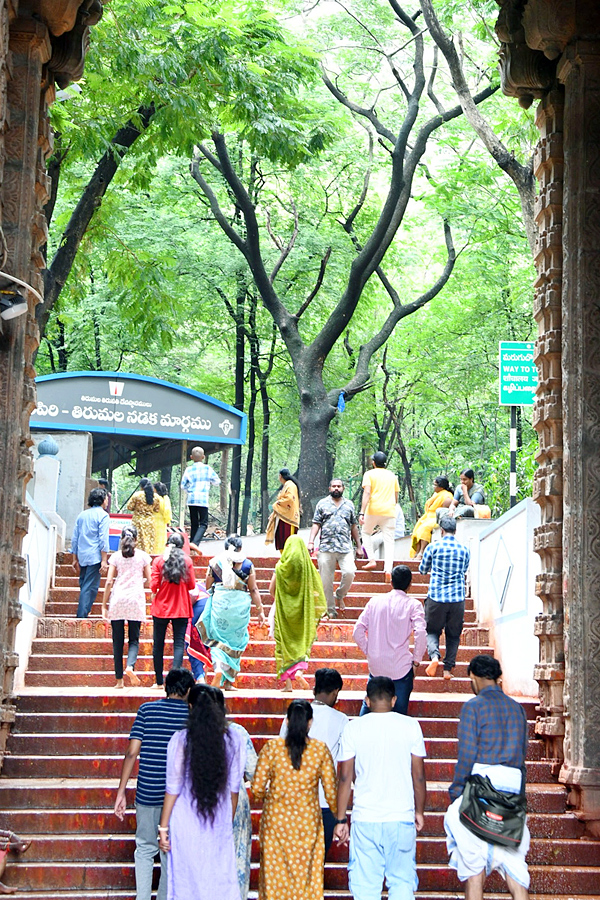 Huge Rush Of Devotees In Alipiri Steps Route Photos2