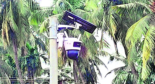 పరుగులు పెట్టిస్తున్న పులి 1