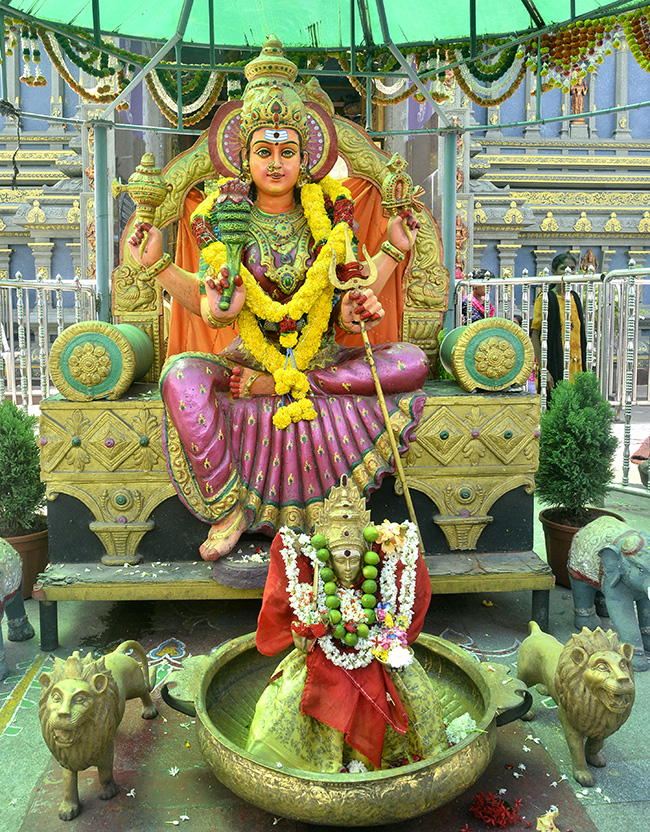 Devotees Huge Rush at Indrakeeladri Durga Devi Temple 6