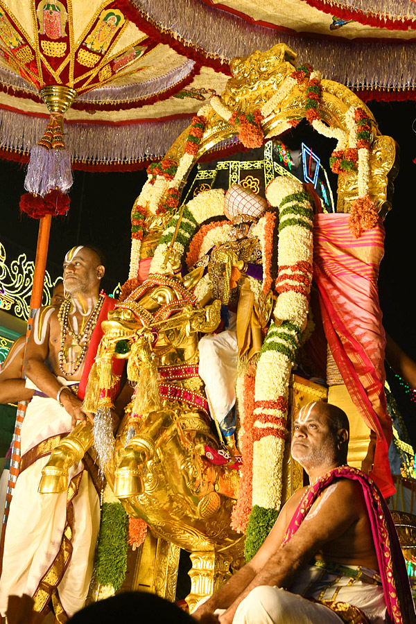 Sri Venkateswara Swamy Rathotsavam at Tirumala Temple Photos5