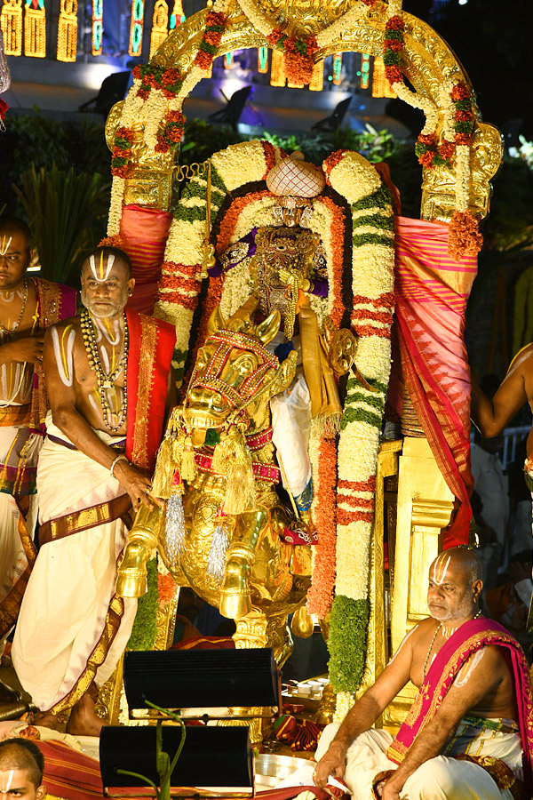 Sri Venkateswara Swamy Rathotsavam at Tirumala Temple Photos7